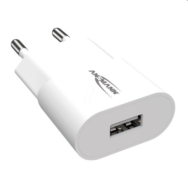 Tersano iClean mini/Pro USB adapter 